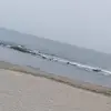 不懂球的小马哥