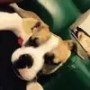 C罗我大锅