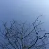 河南中场小黄