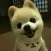 郭崇熙
