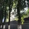 星季