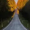 hcynok