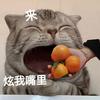 球王守门员