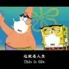 香蕉你个大菠萝