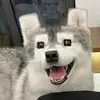 gddyxz