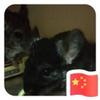 大连沧州体育场小史3
