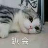火星大连人小方2