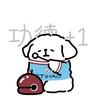 看球少年17