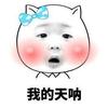 大涛哥的剑