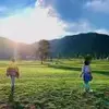 gdd发发发
