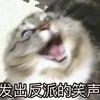 专业零食单