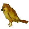 ZyT1nG
