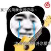 攻防转换器鸭