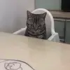冷落是种手段