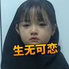 球迷队长