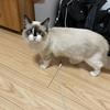 5毛钱