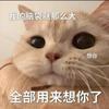谁见桃花央