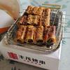 火星萨索洛小莫3
