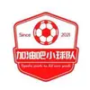 加油吧小球队