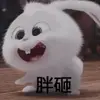 永远的太阳孙