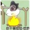 你鲲哥厉害吗