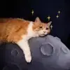 与春天