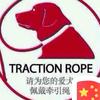 广州队继续加油