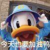 超级无敌小猪