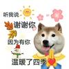 小灰灰成实
