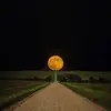 A教皇