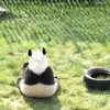 岁月斑驳