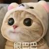 乌拉乌拉圭