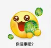诺伊尔冲鸭-