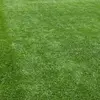 泰山必胜ACL