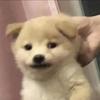 一个猛男