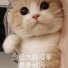 双喜软经典