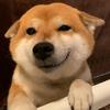 八年没世界杯看的某梨球迷