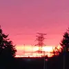 大佬带我1245