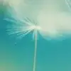 生命的钙质