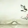 晴滩