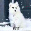 回天乏术