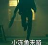 蓝黑永照