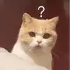 球迷23861557