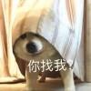 PSGNB
