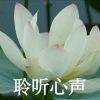 天才瓜迪奥拉