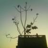 义分季节里