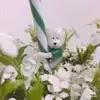 火星莱加内斯小任2