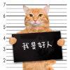 育才梅西