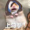 浩Hell