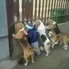 肯尼涵